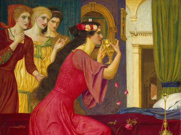Skincare Rooted in History: Ancient Ingredients That Still Work Wonders