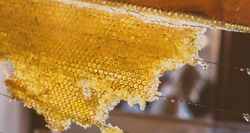 Ingredient Spotlight: Organic Beeswax in Skincare